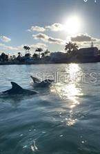 6728 Sea Ranch Dr - Photo 54