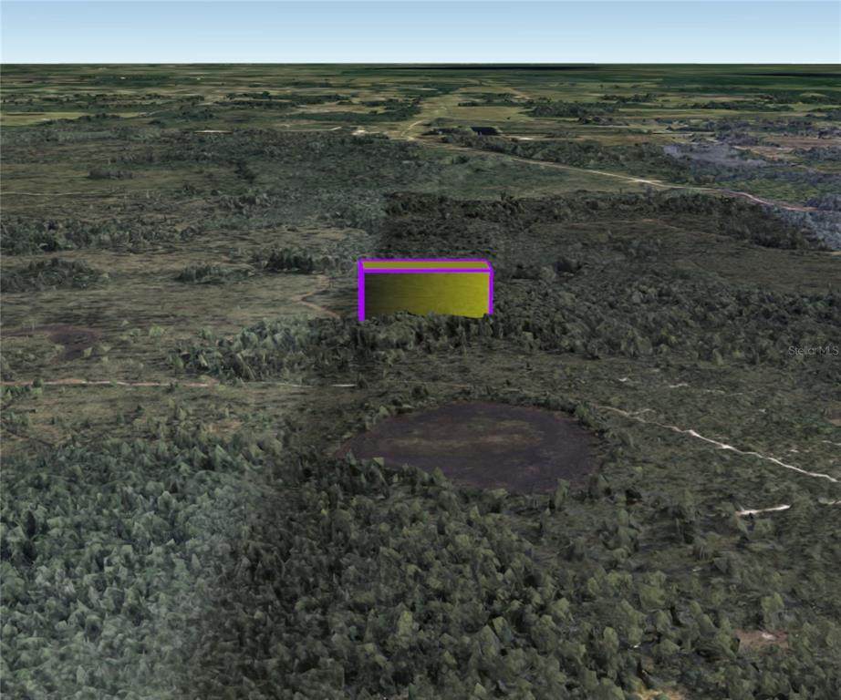 3460 Dill Road - Photo 1