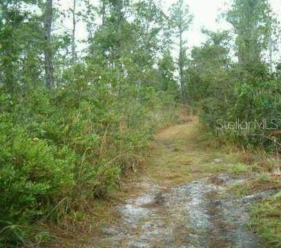 1890 Dill Road - Photo 1