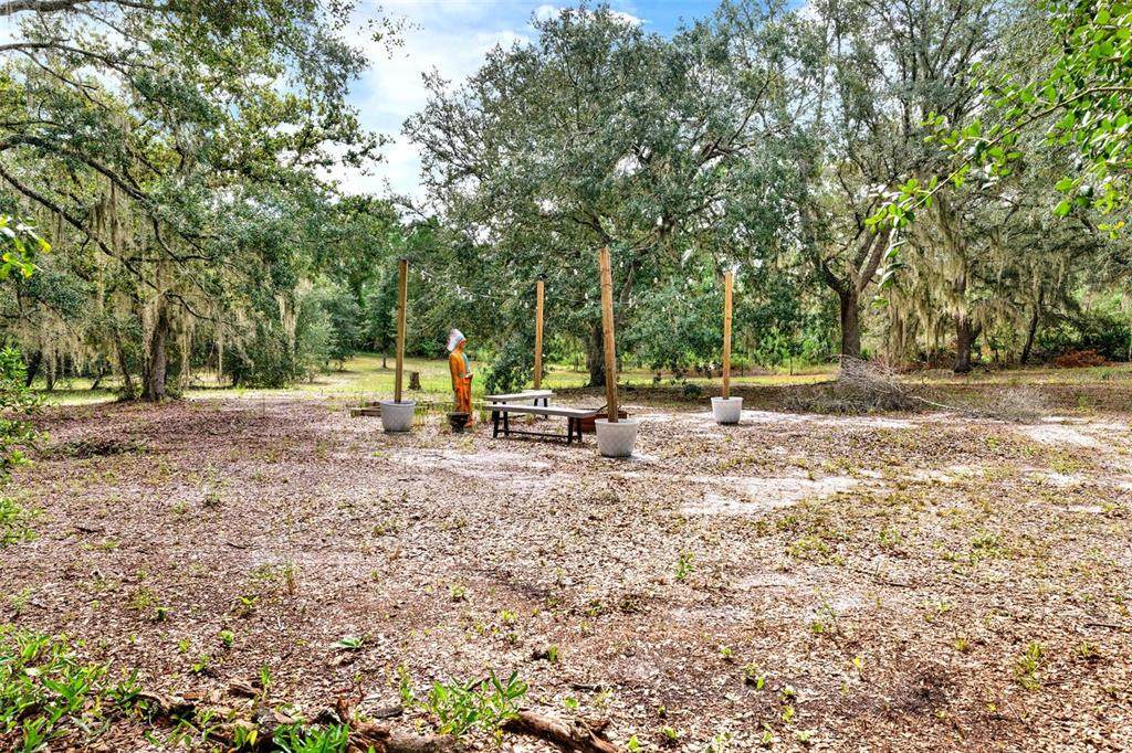  Blackwater Oaks Drive - Photo 1