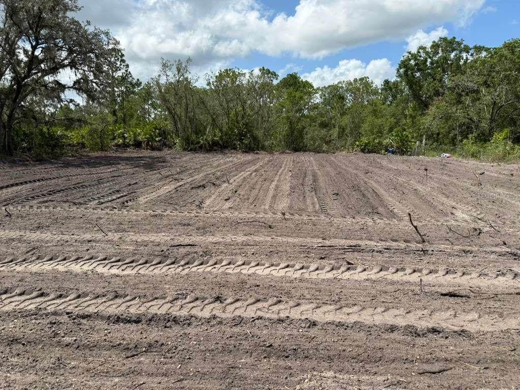 3025 Metuchen Road - Photo 1