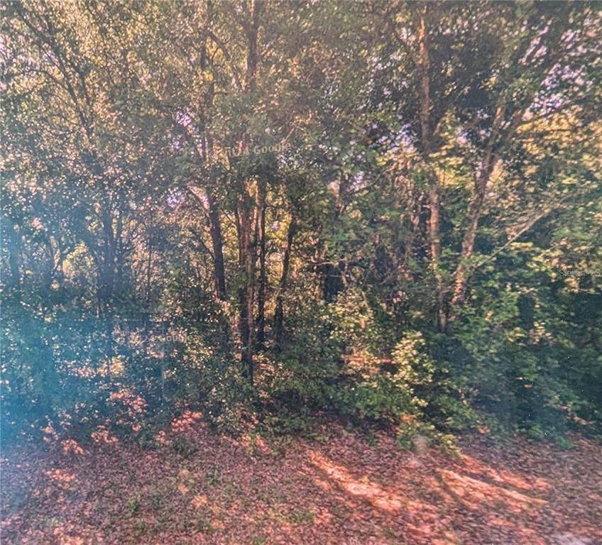 8973 Bee Way - Photo 1