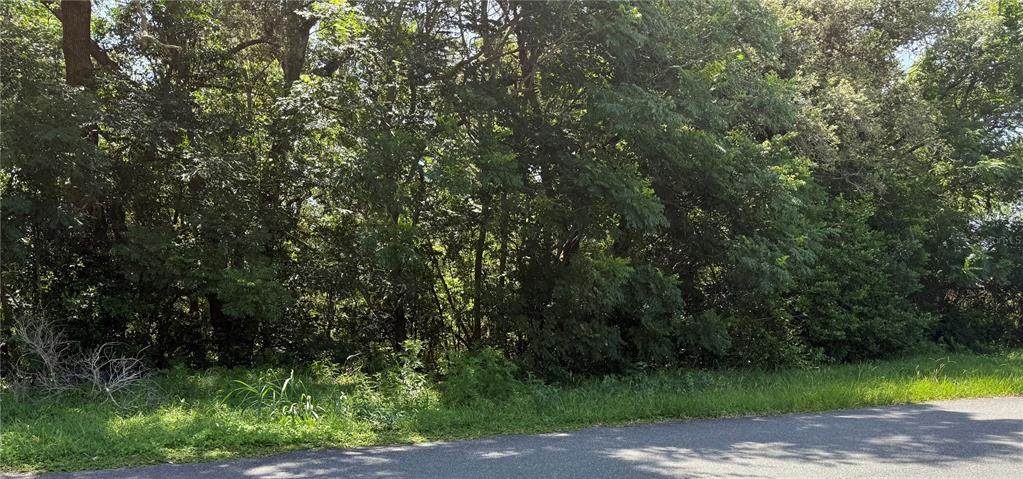  Hutchinson Way - Photo 1