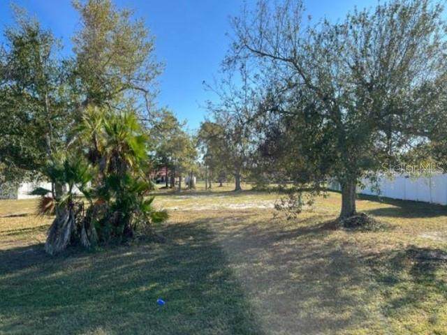 8409 Truman Street - Photo 1