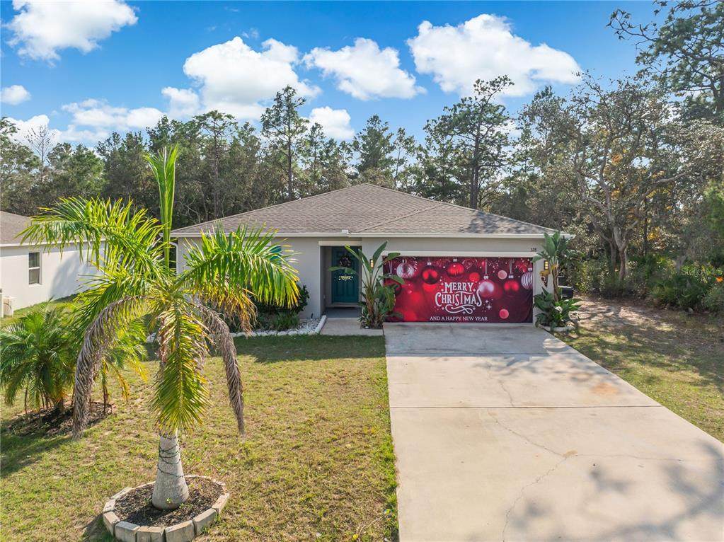 328 Hibiscus Drive - Photo 1