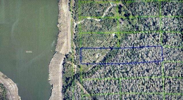 1425 Dill Road - Photo 1