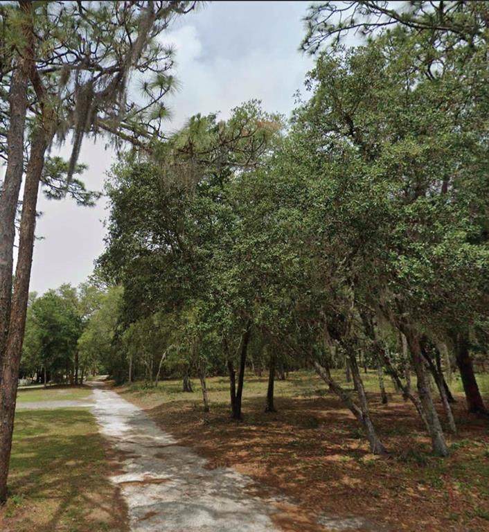 1163 Canvas Lane - Photo 1