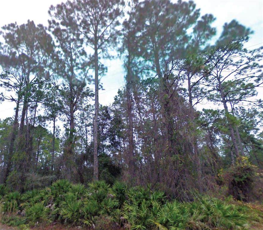  66TH Avenue - Photo 1