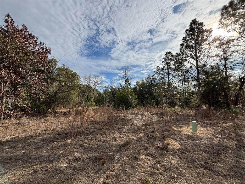 6505 Varsity Avenue - Photo 1