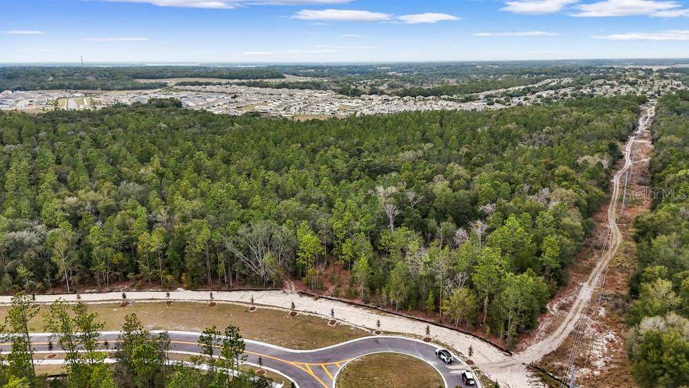 5937 Stoneybrook Hills Parkway - Photo 1