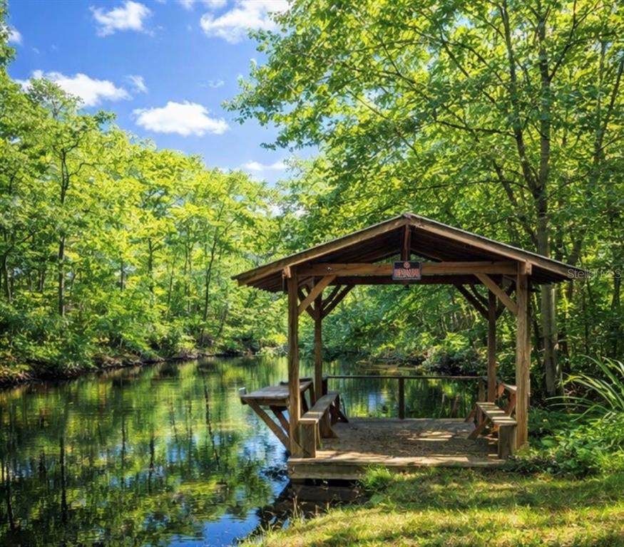 12811 Big Buck Trail - Photo 1