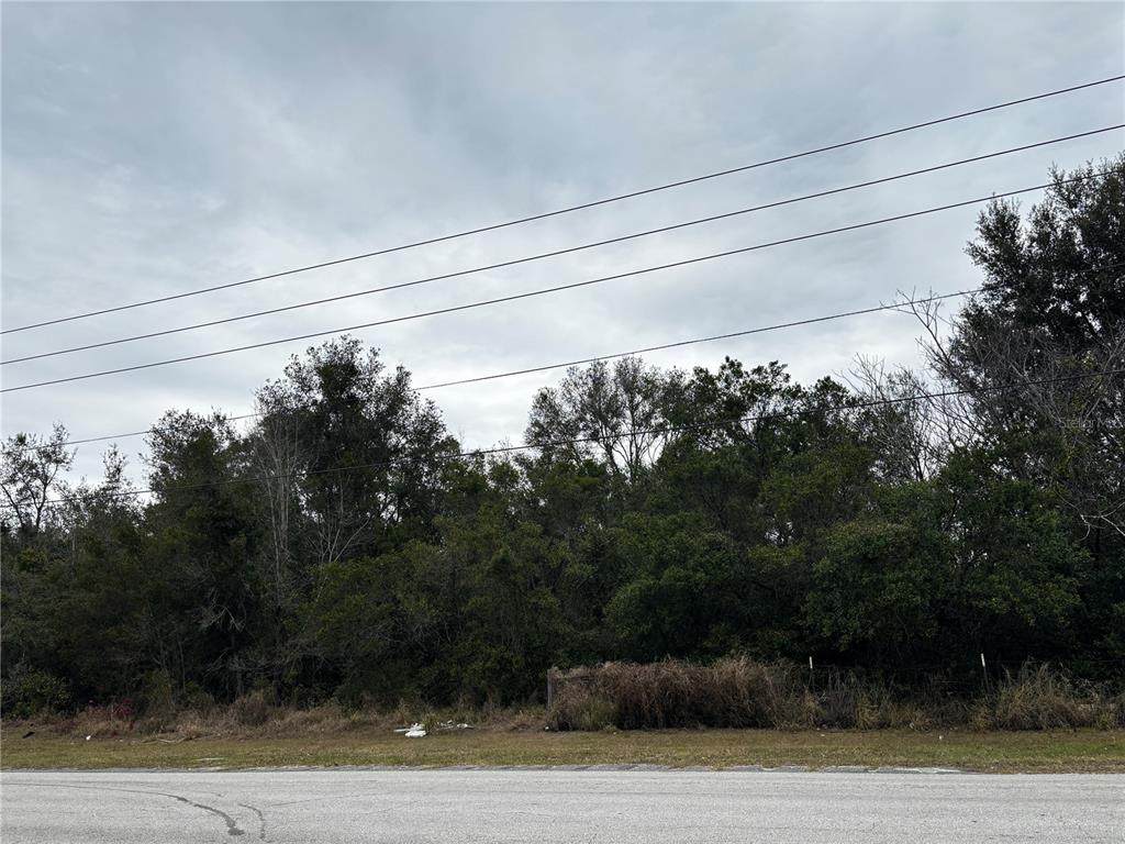 1305 Kelly Park Road - Photo 1