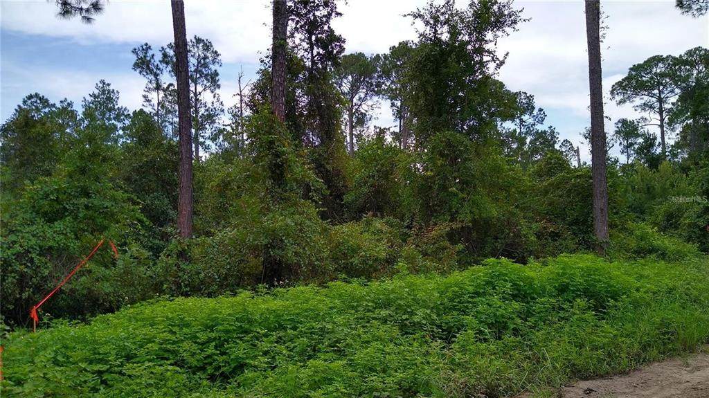  12TH Avenue - Photo 1