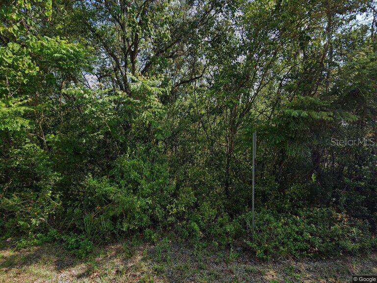 916 Pineaire Street - Photo 1