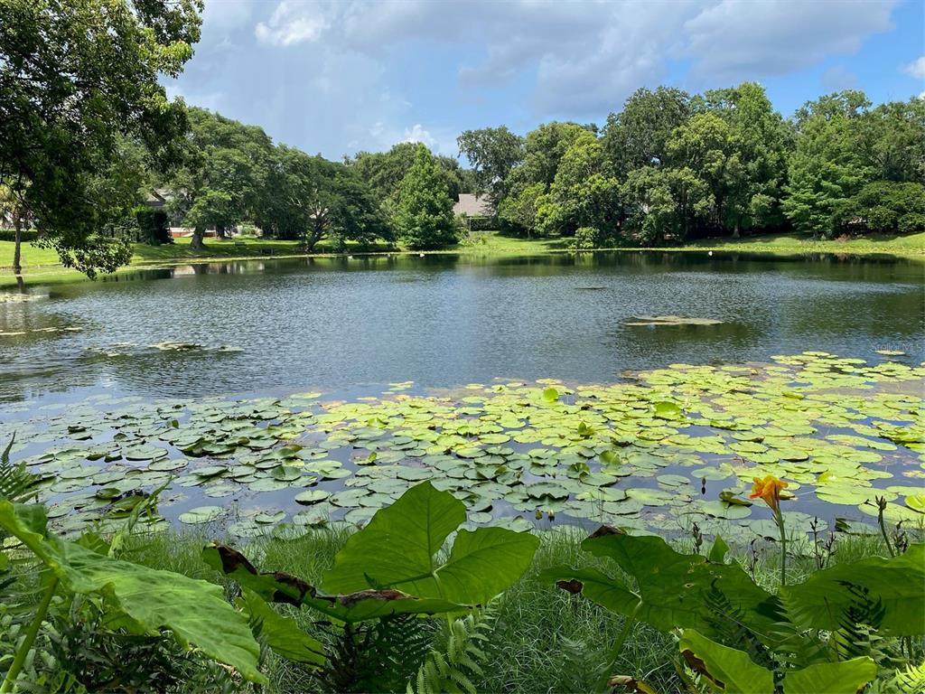 1113 Via Del Mar - Photo 1