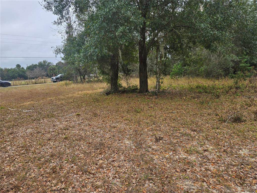  Se Highway 42 - Photo 1