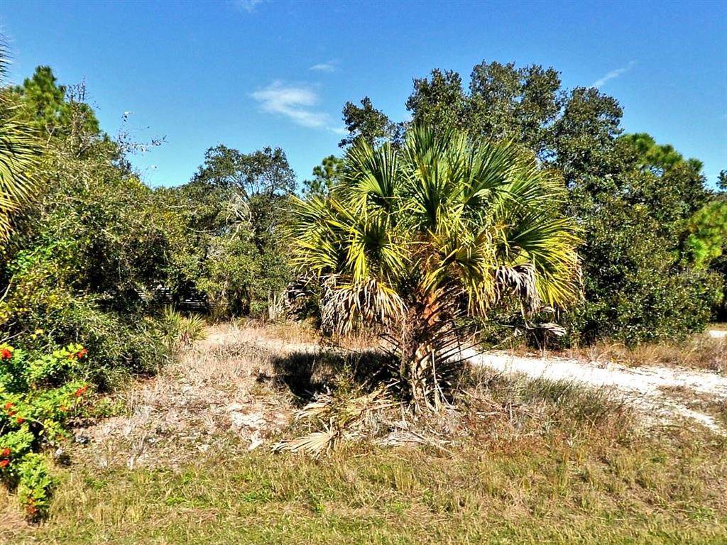  Greentree Avenue - Photo 1