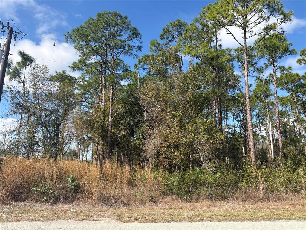 3214 Sr-66 - Photo 1