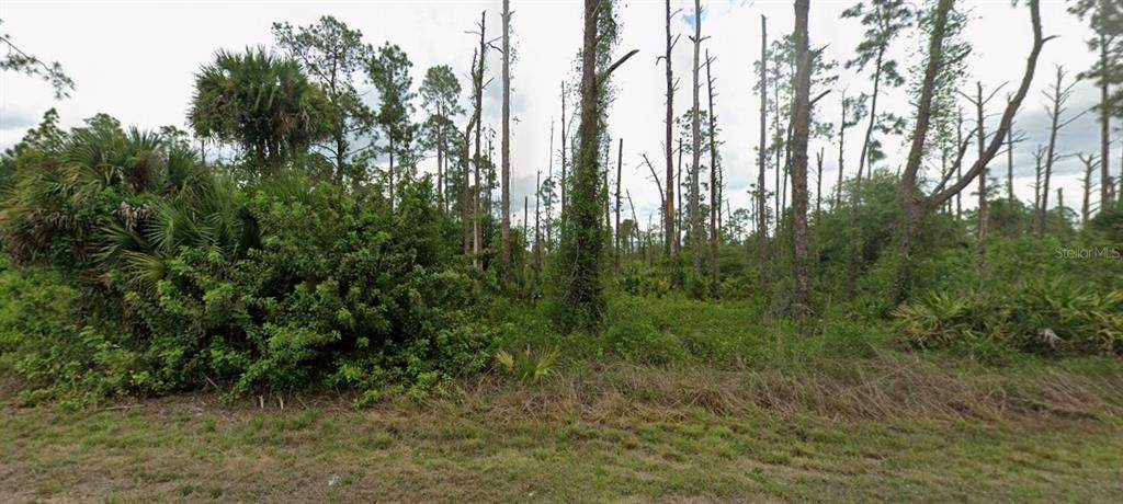 3703 9TH Street - Photo 1