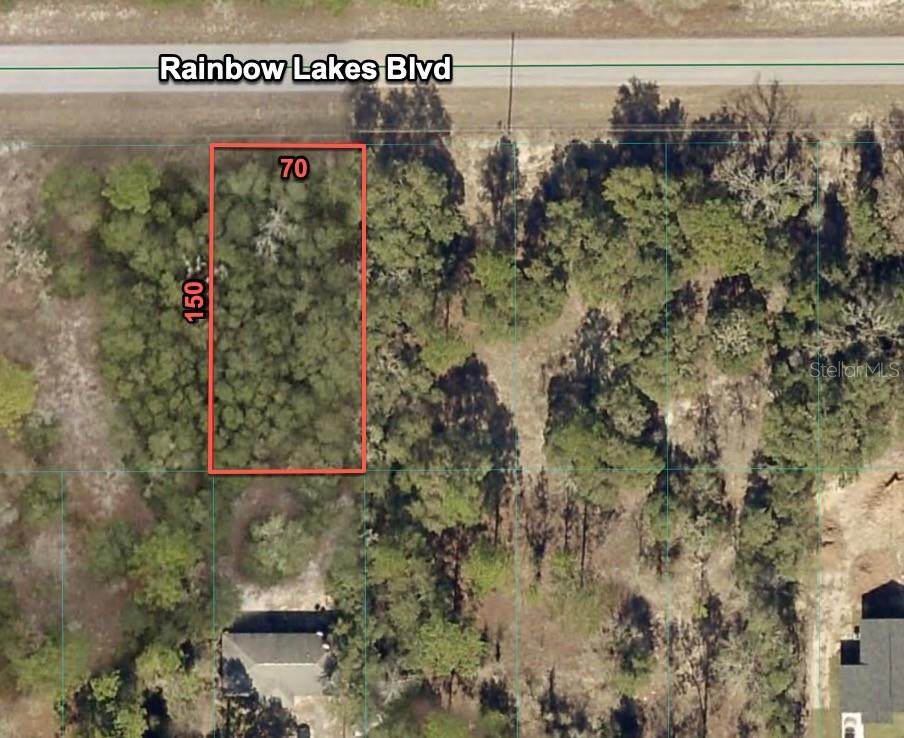 23020 Rainbow Lakes Boulevard - Photo 1