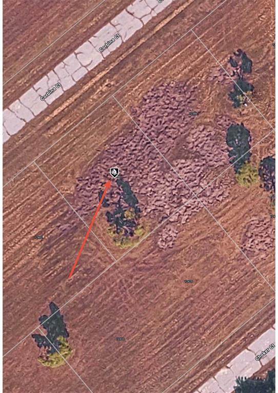 12394 Corbina Court - Photo 1