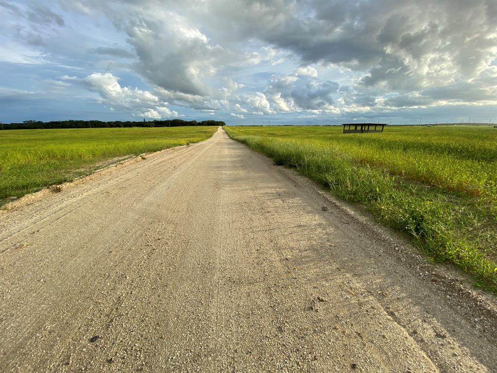 3700 Snyder Road - Photo 1