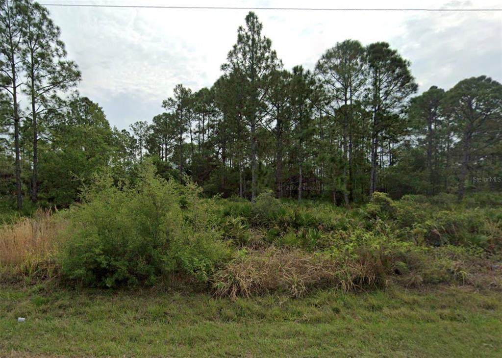 3262 Tiffiny Street - Photo 1