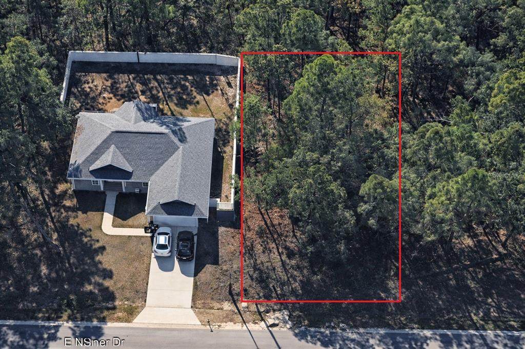 602 Nemo Drive - Photo 1