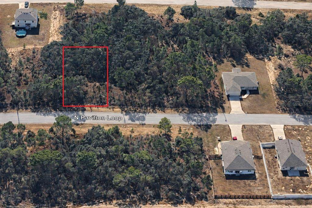 6779 Pavilion Loop - Photo 1