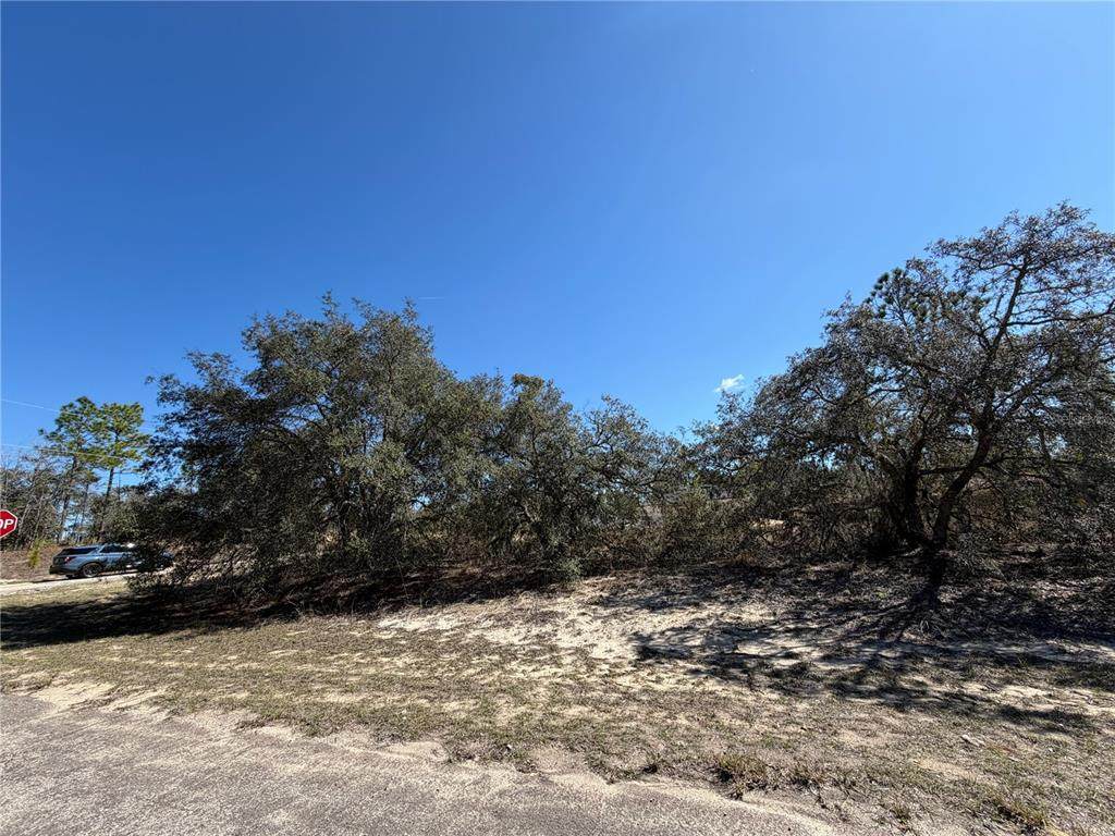 6725 Killinger Terrace - Photo 1