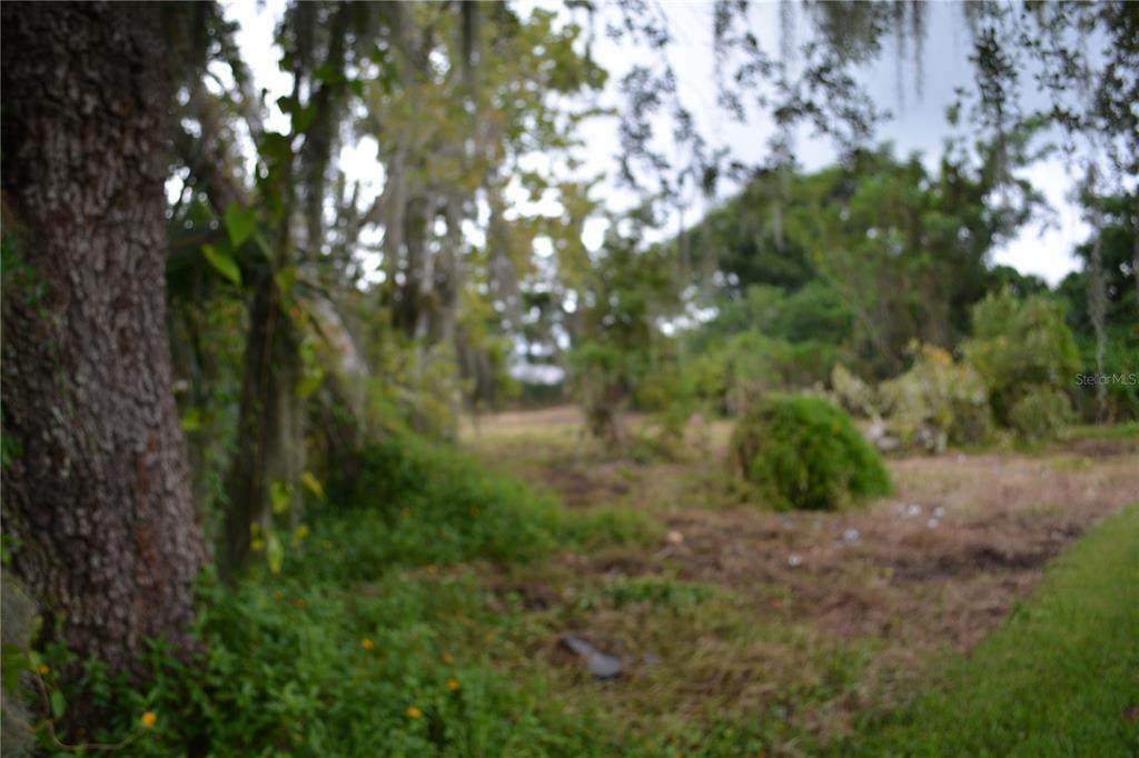 0 Se 3Rd Street Street - Photo 1