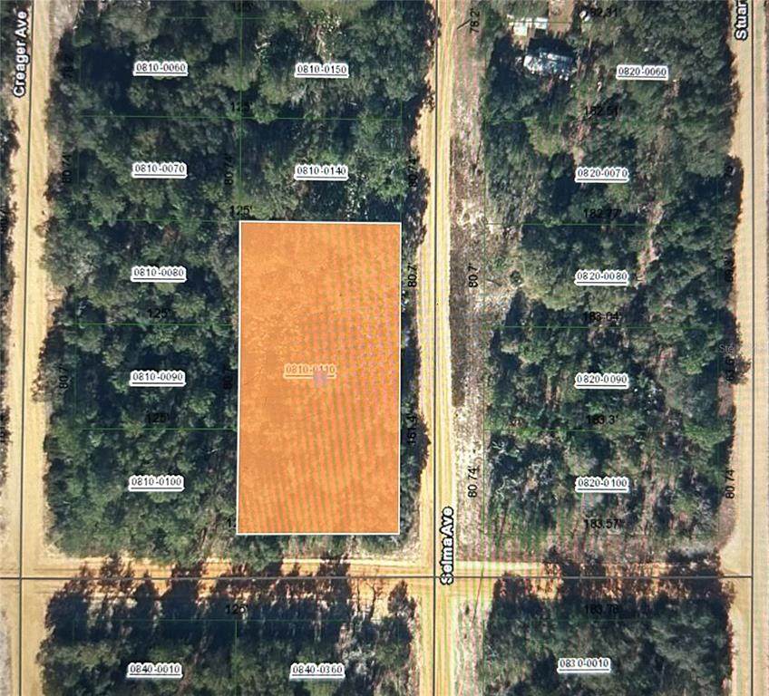 00 Selma Ave - Photo 1