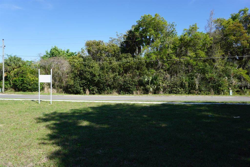  Palmetto Street - Photo 1