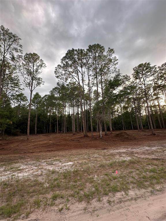 https://bt-photos.global.ssl.fastly.net/mfr/orig_boomver_1_O6390407-2.jpg