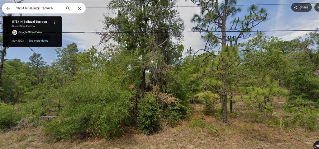 11754 Belluzzi Terrace - Photo 1