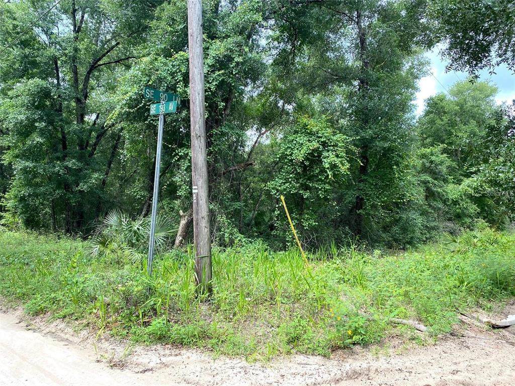  193RD Avenue - Photo 1