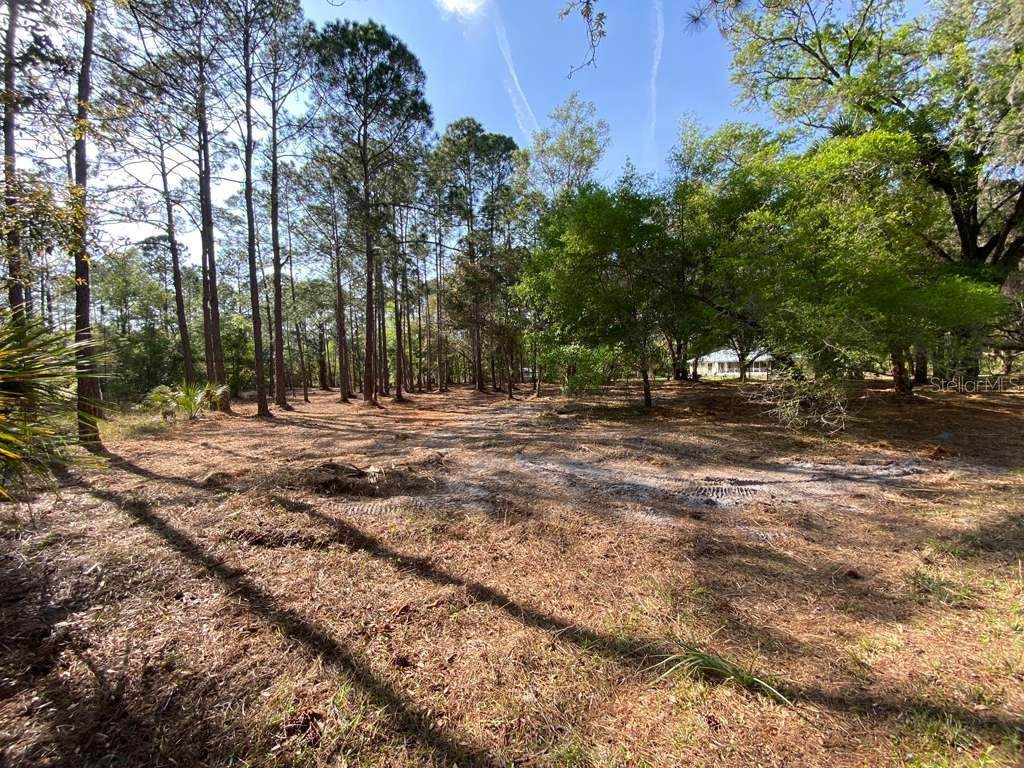 7756 Shillelagh Avenue - Photo 1