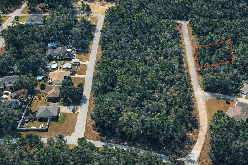 11328 Cathy Terrace - Photo 1