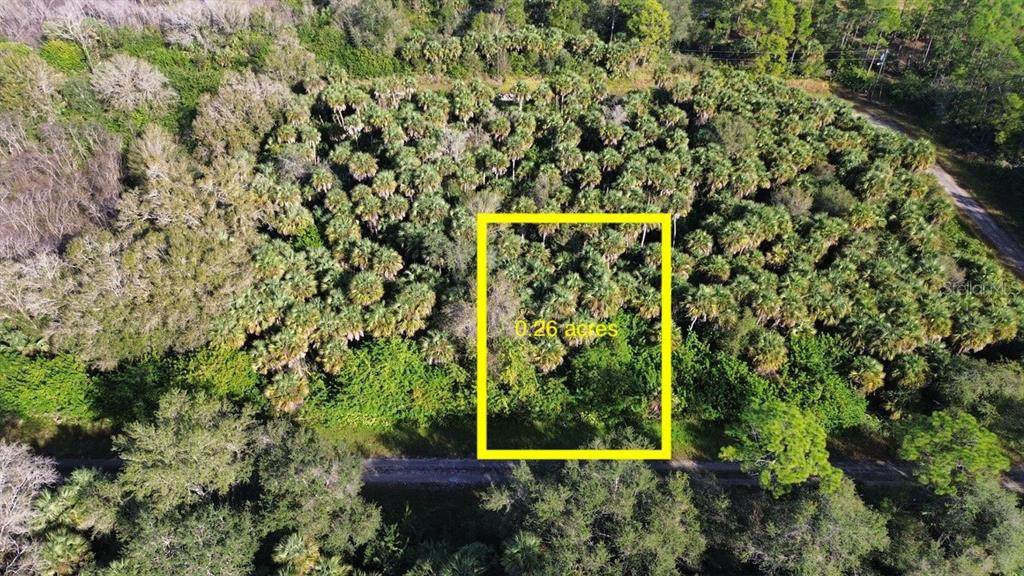 1219 Rosita Street - Photo 1