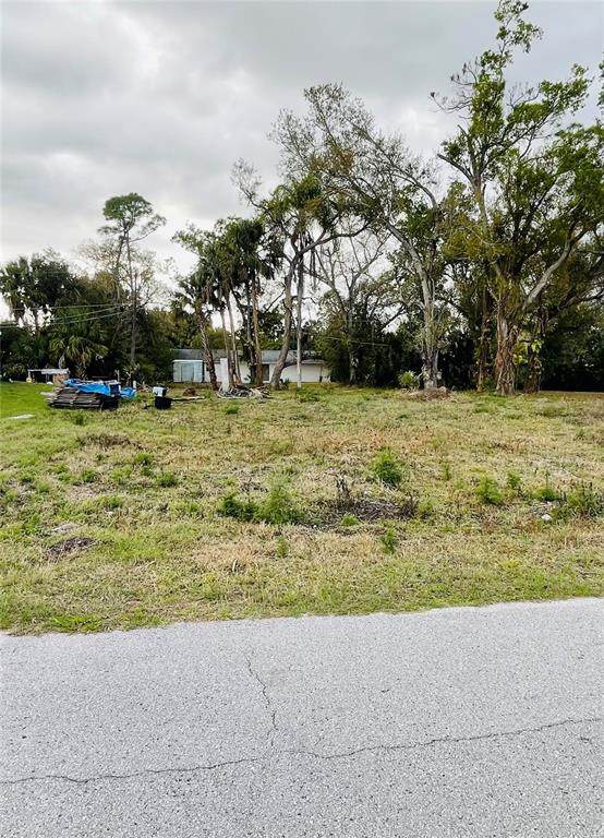 1365 Nimrod Street - Photo 1
