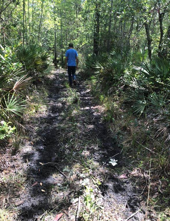 2449 Old Train Road - Photo 1