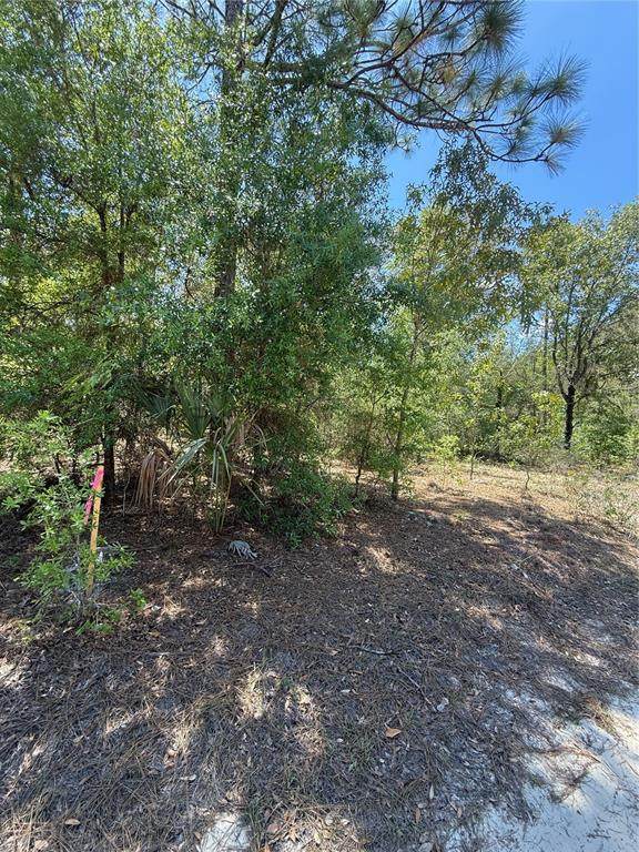  118TH Lane - Photo 1