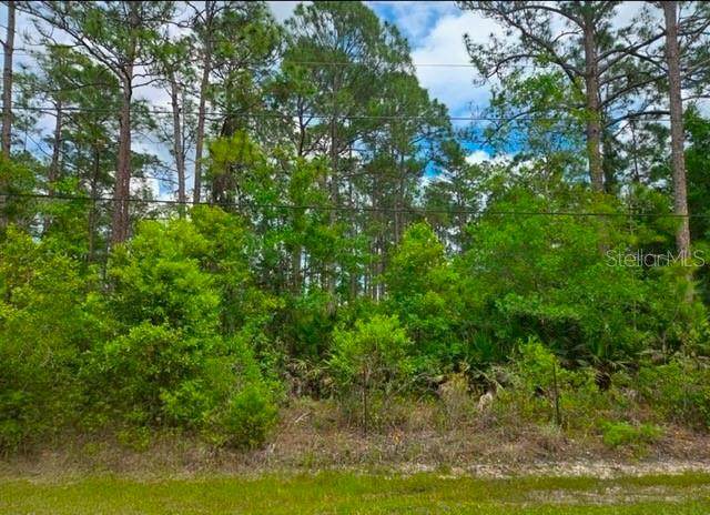 1747 Candleberry Street - Photo 1