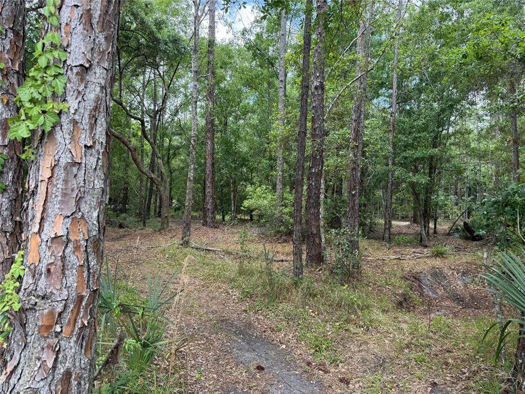 552 Buckshot Avenue - Photo 1