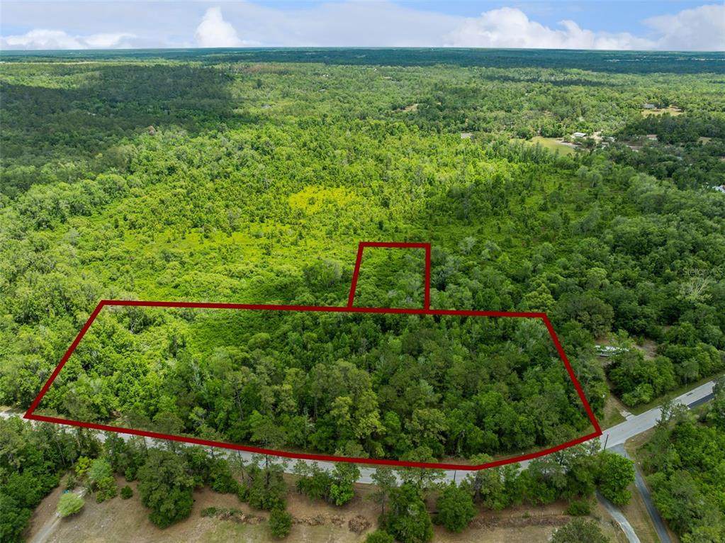  Culbreath Road - Photo 1