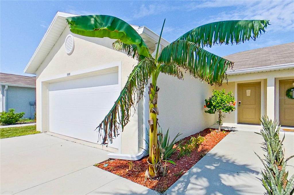 9099 Aegean Circle - Photo 1