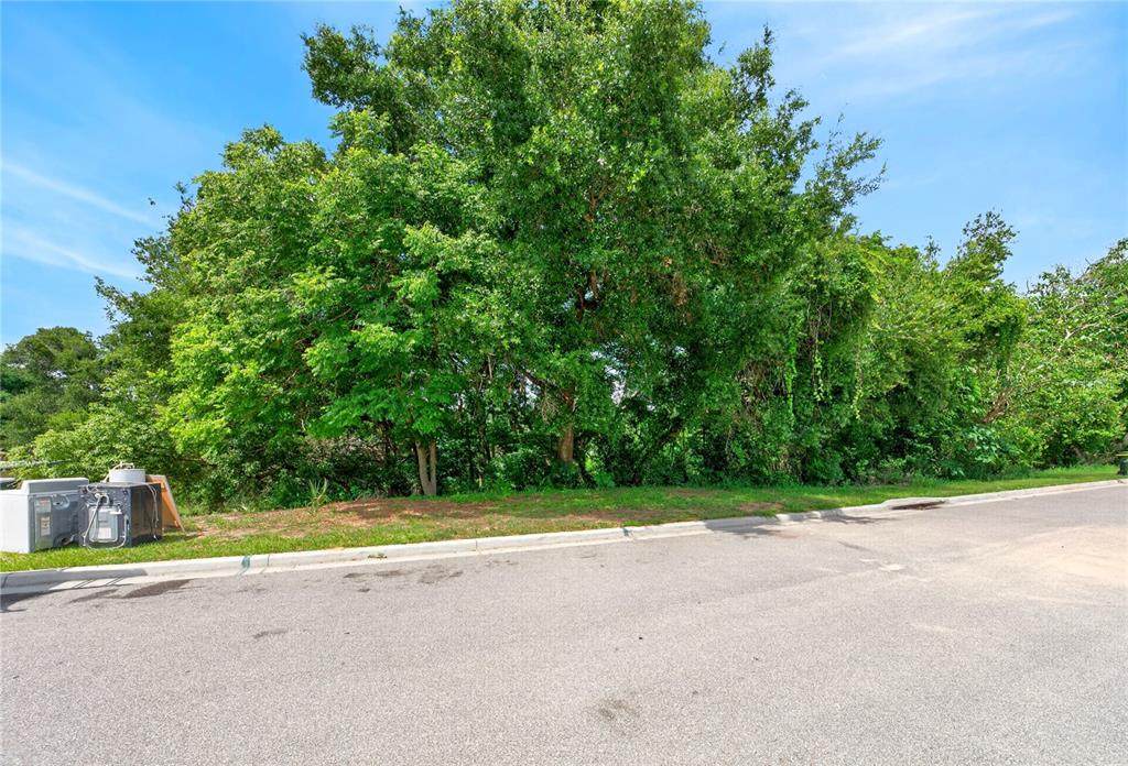  E Minneola Avenue - Photo 1
