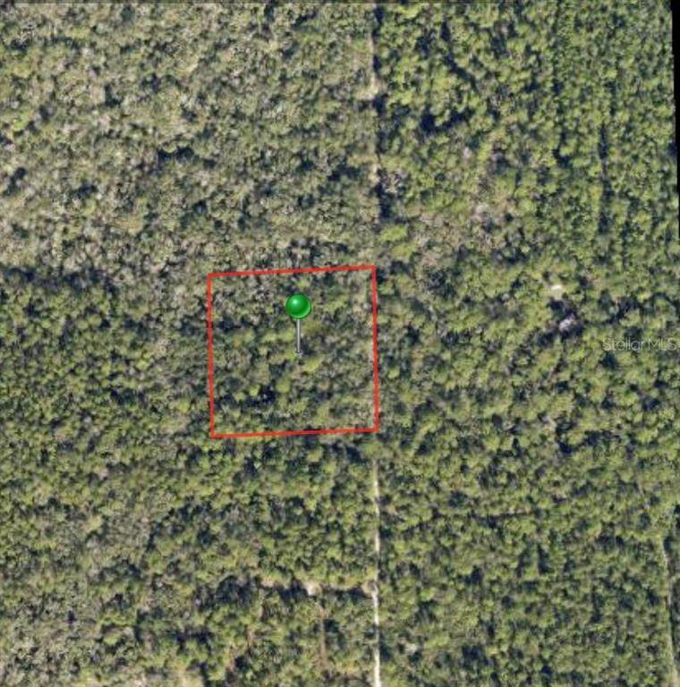  Lake Harney Road - Photo 1