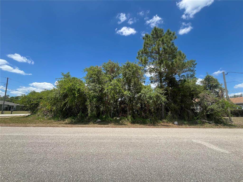 901 Replica Avenue - Photo 1