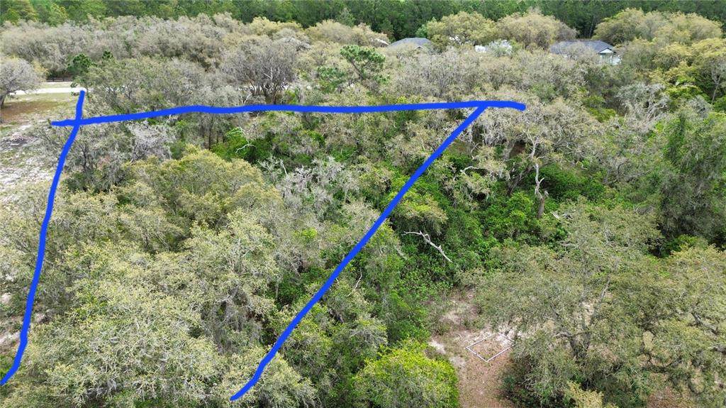 Pompano Drive - Photo 1